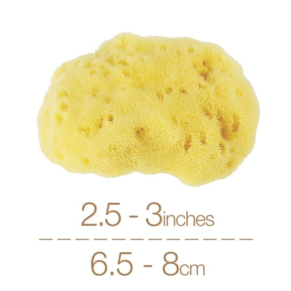 IntimateCare Sea Sponges - Mediterranean Fine Silk Sponges
