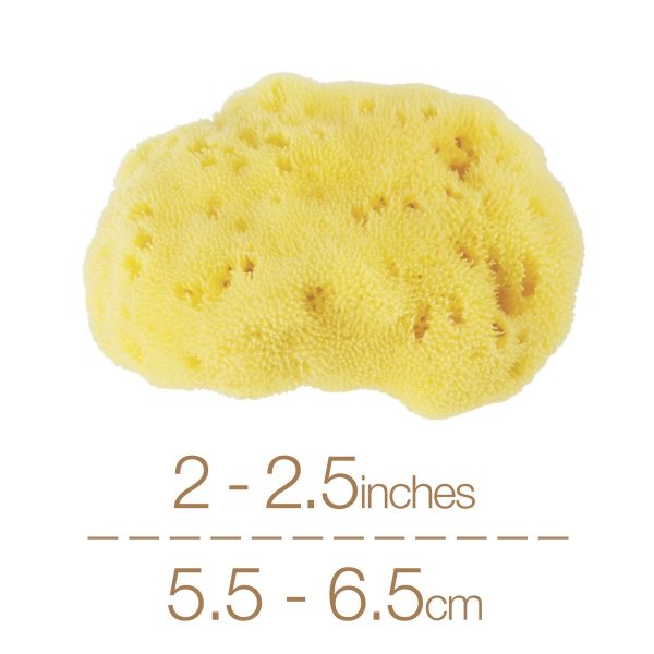 IntimateCare Sea Sponges - Mediterranean Fine Silk Sponges