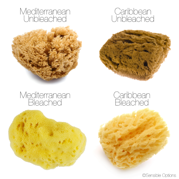IntimateCare Sponges - 3x 5.5-6.5cm Bleached - Retail Packaging