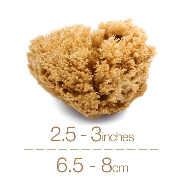 IntimateCare Sponges - 2x 6.5-8cm Unbleached - Retail Packaging